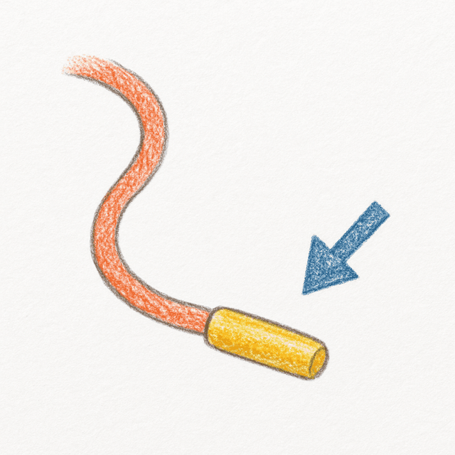Clue 5: aglet