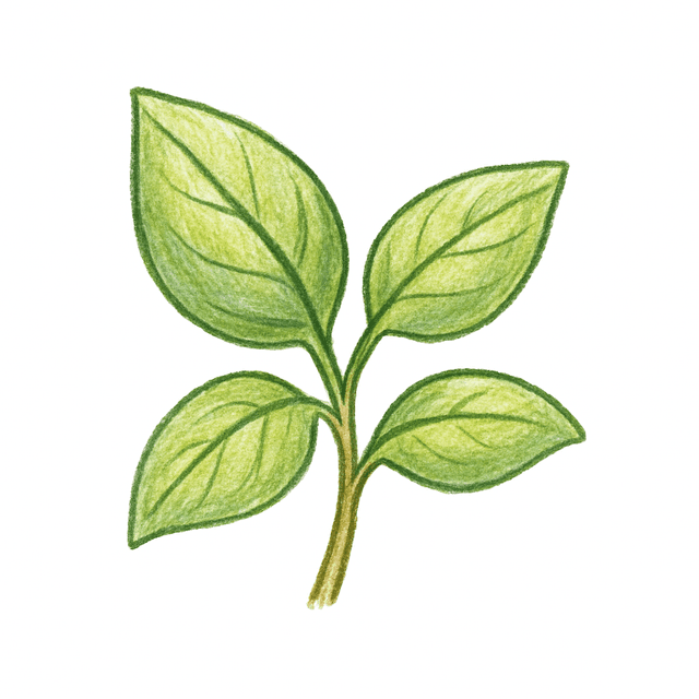 Clue 1: basil