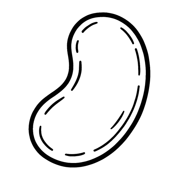 Clue 4: bean