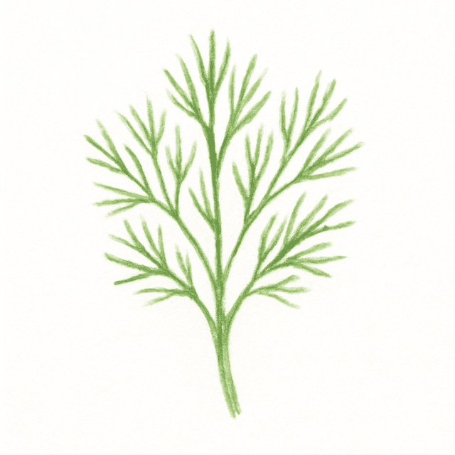 Clue 4: dill