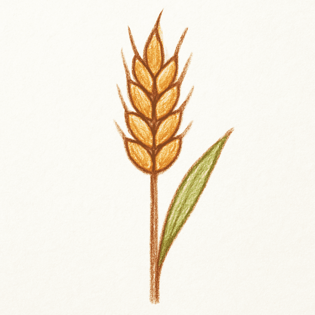 Clue 5: grain