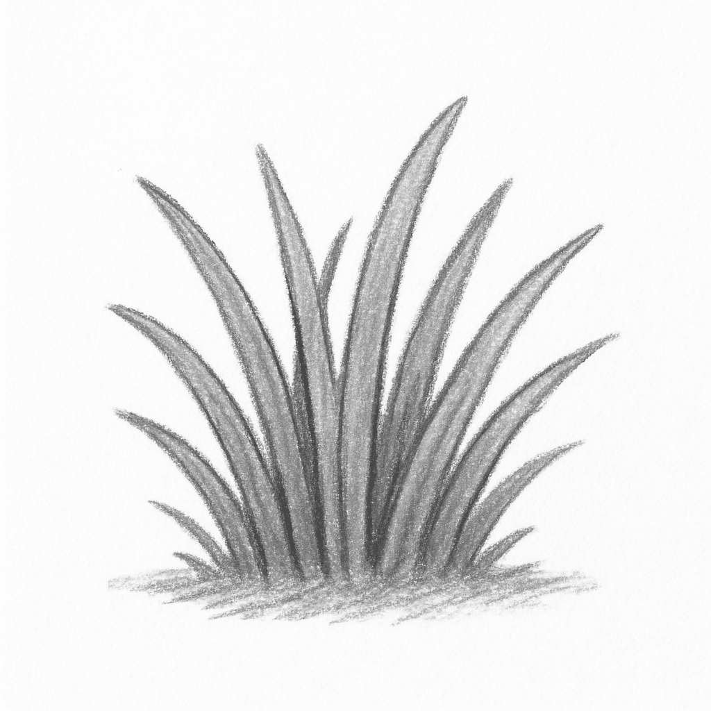 Clue 2
