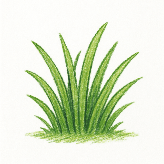 Clue 2: grass