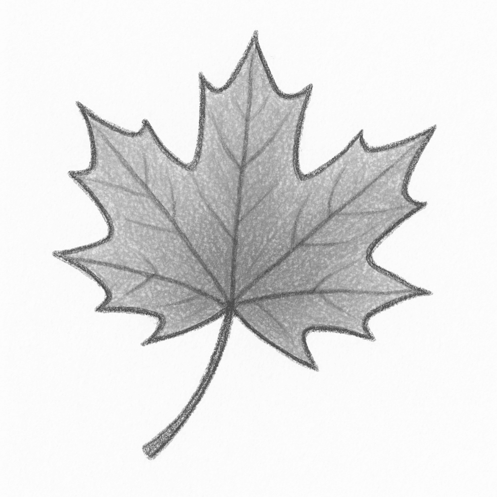 Clue 5