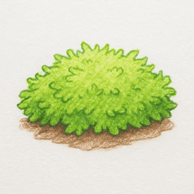 Clue 4: moss
