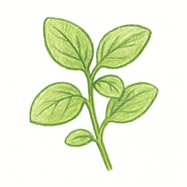 Clue 2: oregano