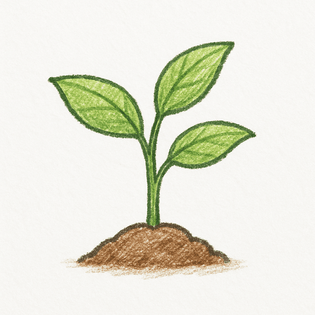 Clue 2: plant