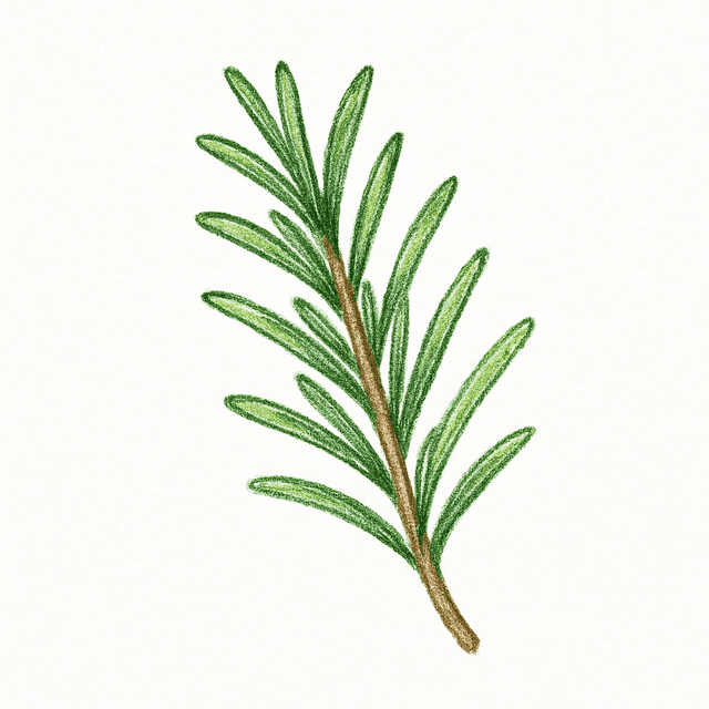Clue 5: rosemary