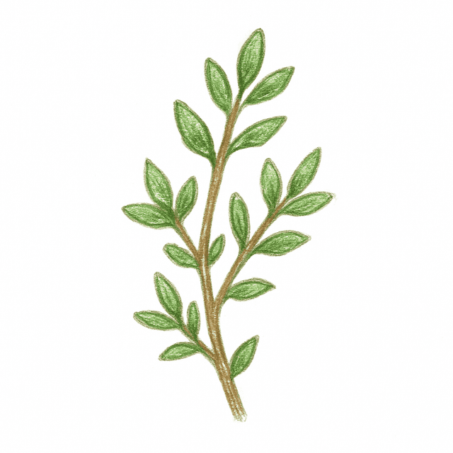 Clue 3: thyme