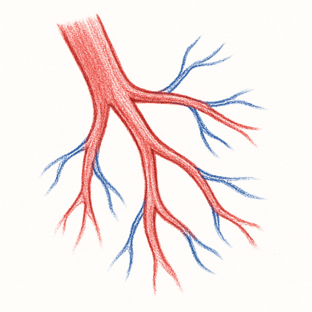 Clue 5: vein