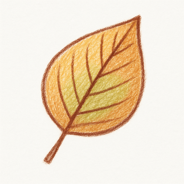 Solution drawing: leaf